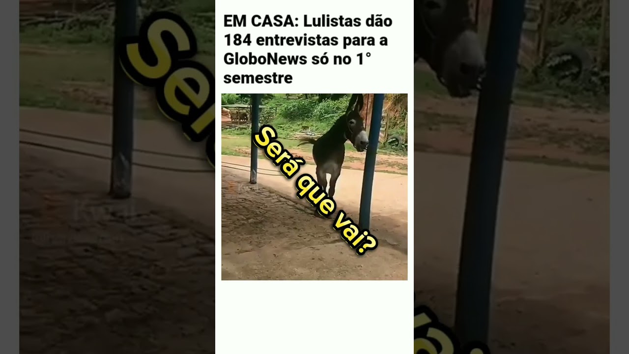 Lulistas dão 184 entrevistas para a GloboNews #bolsonaro #lula #shorts