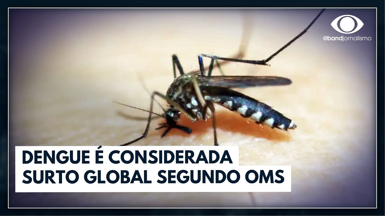 OMS trata dengue como surto global
