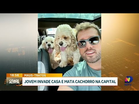 Caso revoltante: jovem invade casa e mata cachorro em Florianópolis
