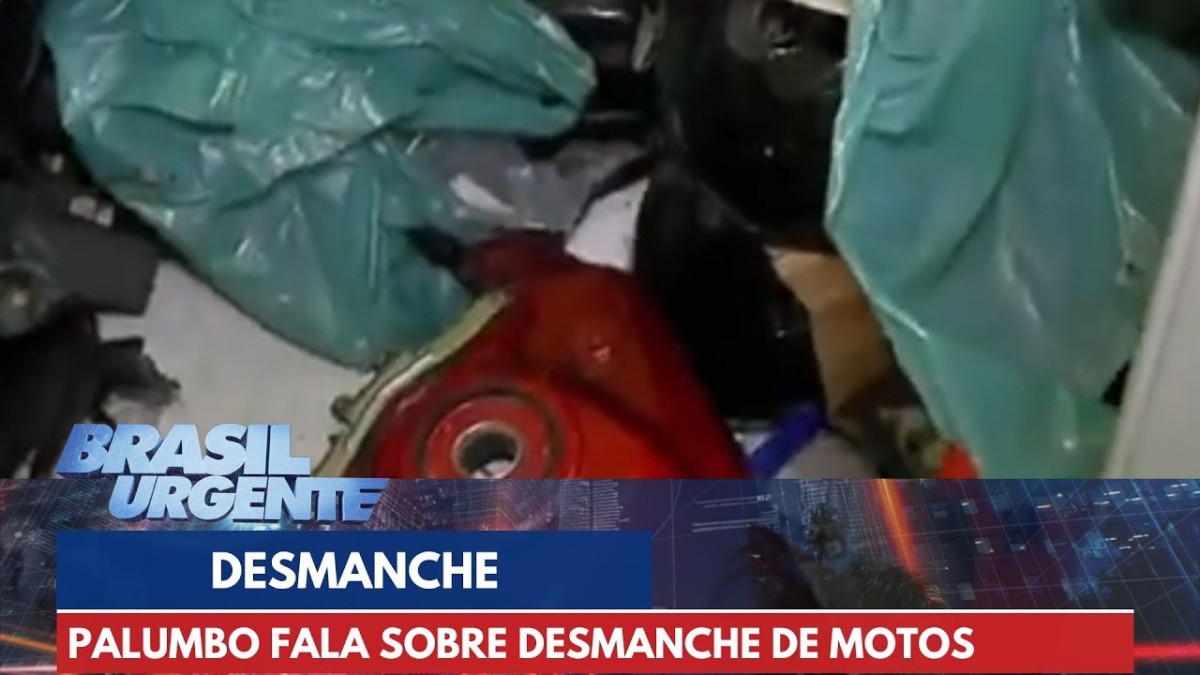 Delegado Palumbo fala sobre desmanche de motos roubadas em SP | Brasil Urgente